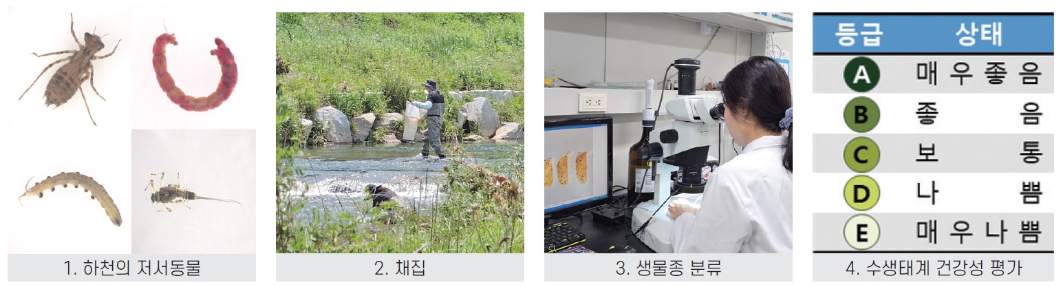 5면 물환경정보 그림4